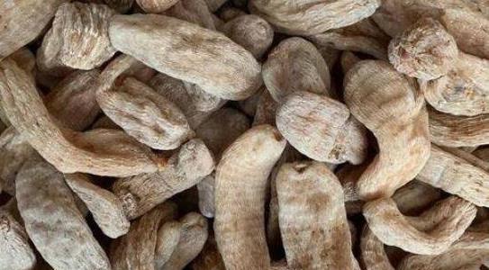 農(nóng)業(yè)種植什么項目前景好掙錢多