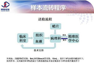 檢驗(yàn)機(jī)構(gòu)質(zhì)控方法有哪些