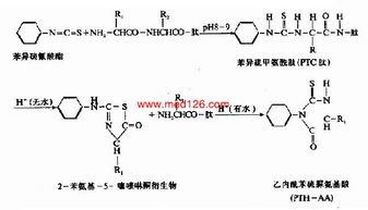 測定蛋白質(zhì)不同結(jié)構(gòu)的方法有哪些