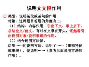 說明文都用了哪些說明方法有哪些特點是什么