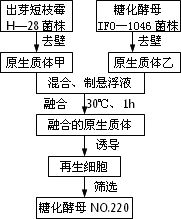 誘導(dǎo)動(dòng)物細(xì)胞融合的方法有哪些