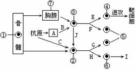 減少或防止苷水解的實驗方法有哪些