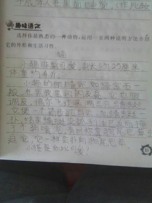 關(guān)于動物的作文方法有哪些