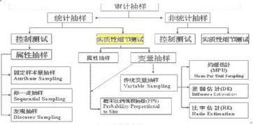 內(nèi)部控制抽樣審計方法有哪些