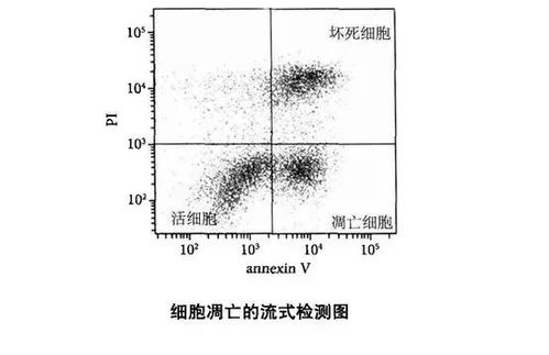 常用角度和維度的檢測(cè)方法有哪些
