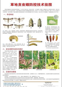 哪些方法可以用來(lái)預(yù)測(cè)