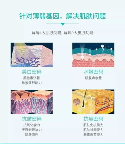 科學方法的層次不包括哪些內(nèi)容是什么