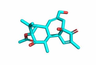 用opencv對醫(yī)學(xué)圖像分割有哪些方法