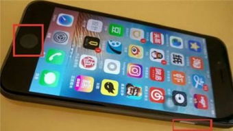 蘋果手機(jī)種子方法有哪些