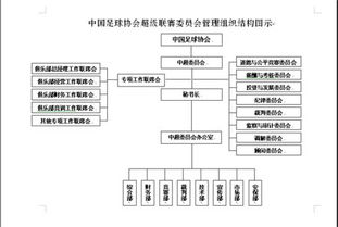 組織有什么分類(lèi)方法有哪些內(nèi)容
