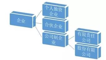 企業(yè)有哪些分類方法
