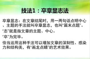 文章常見的結(jié)尾方法有哪些