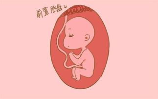 有哪些方法可以導(dǎo)致胎停