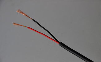 農村家庭電線(xiàn)有哪些安裝方法