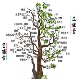常見(jiàn)的心理狀態(tài)調(diào)試方法有哪些