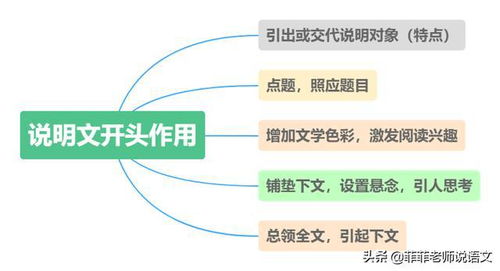 知識(shí)的寶庫(kù)用了哪些說(shuō)明方法