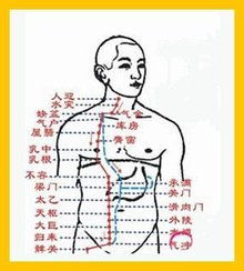 中醫(yī)經(jīng)絡(luò)減肥方法有哪些