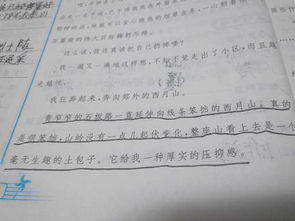 第一段中的描寫方法有哪些內容是什么意思