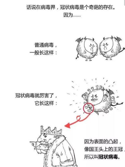 新型冠狀病毒有哪些應(yīng)對(duì)方法比較有效
