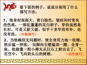 小學(xué)生常見的人物描寫方法有哪些