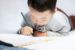 學(xué)會(huì)啦哪些寫字的方法