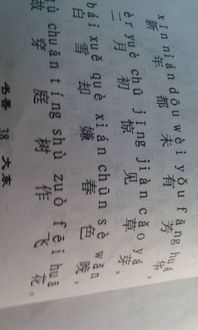 古詩(shī)中寫玩雪的詩(shī)句