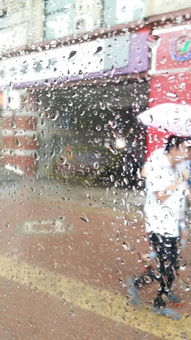詩(shī)句,描寫,詩(shī)中,下雨
