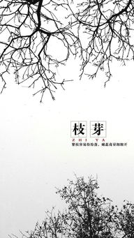 關(guān)于枝芽的詩句