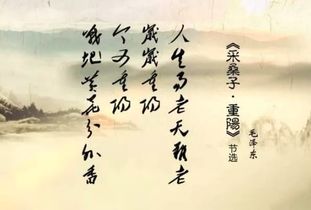 關(guān)于傳統節日的詩(shī)句,寫(xiě)出傳統節日的詩(shī)句,7個(gè)傳統節日詩(shī)句