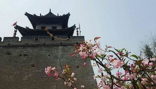 關(guān)于孟浩然春天的詩句