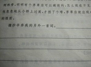 帶有四字的詩句有哪些,含有四字的詩句,四字詩句古風