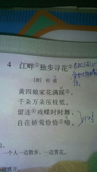 關于春季和夏季的詩句
