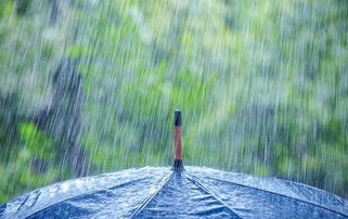 寫(xiě)大雨滂沱的古詩(shī),描寫(xiě)大雨滂沱的古詩(shī),大雨滂沱對(duì)應(yīng)的下句