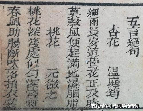 桃樹(shù),詩(shī)句