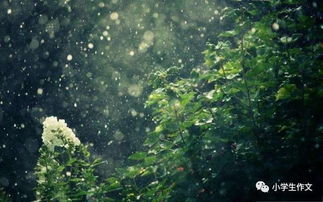 形容雨夜的古詩句