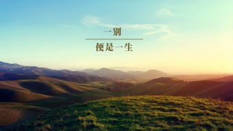 韋應(yīng)物關(guān)于船的詩(shī)句