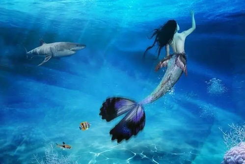 一首關于美人魚的詩句