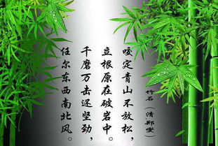詩句,奮力,上進