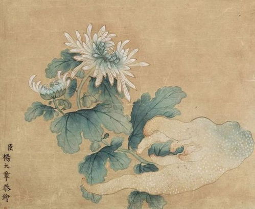 荷花菊花的詩(shī)句古詩(shī)
