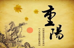 重陽(yáng)節(jié)重陽(yáng)節(jié)詩(shī)句古詩(shī)