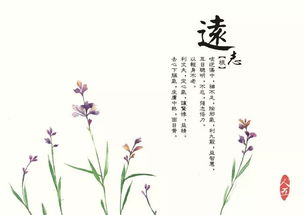 古詩中有四季的詩句有哪些