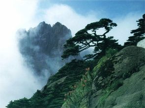 黃山,詩(shī)句