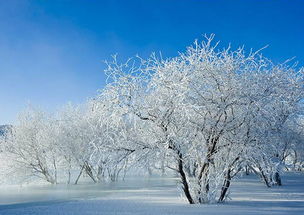 雪景,古詩,詩句,贊美
