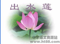 關于蓮的有名詩句