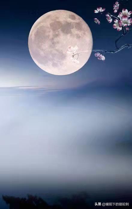 關(guān)于夜和明月的詩(shī)句