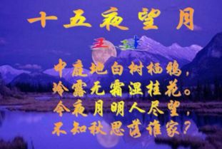 關(guān)于思念家鄉(xiāng)的詩句賀知章