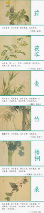 描寫植物詩句古詩詞