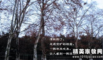 描寫學校景色的古詩句