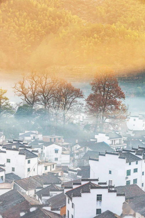 詩(shī)句,秋天,旅行