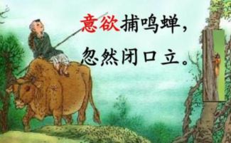 形容房屋溫馨有愛(ài)的古詩(shī)句